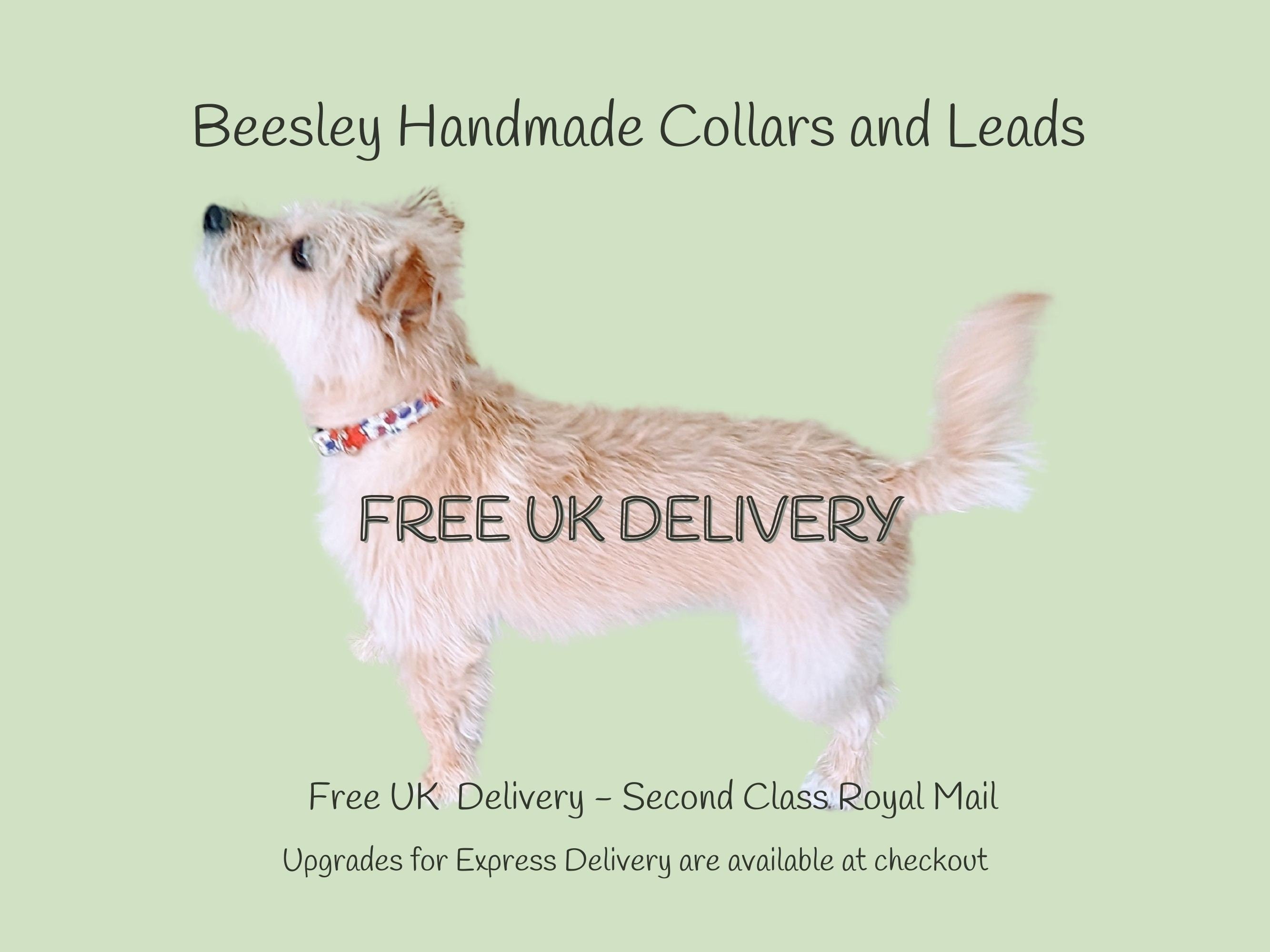 Teal Mini Polka Dot Dog Collar | Adjustable | British Made  Fabric Dog Collar | Cotton, Strong Webbing & Strong Buckles